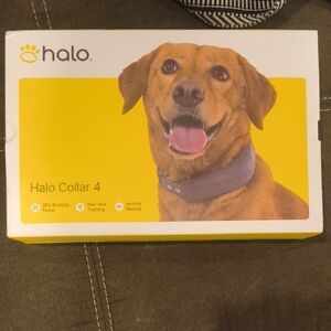 Halo Collar 4 Box with Yellow and White Packaging